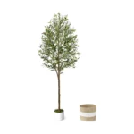 Six foot artificial olive tree indoor displayed in a woven seagrass basket in a modern living room